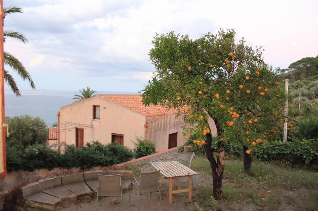 Palamara 1868 * Cefalu